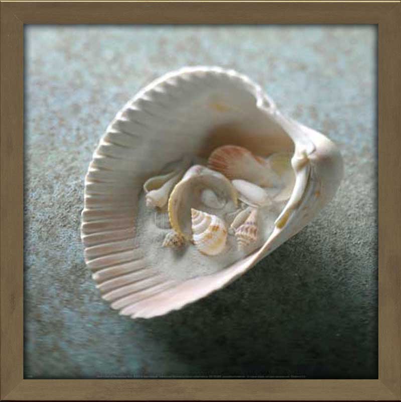 Shells in Shell